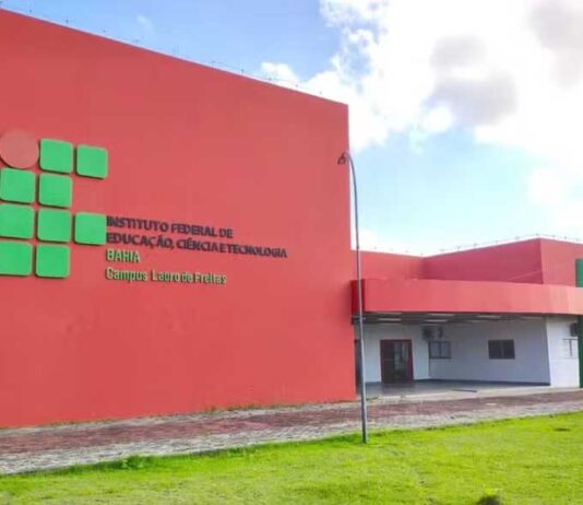 Ifba oferta mil vagas em curso preparatório; veja lista de cidades e como se inscrever Ifba oferta mil vagas em curso preparatório